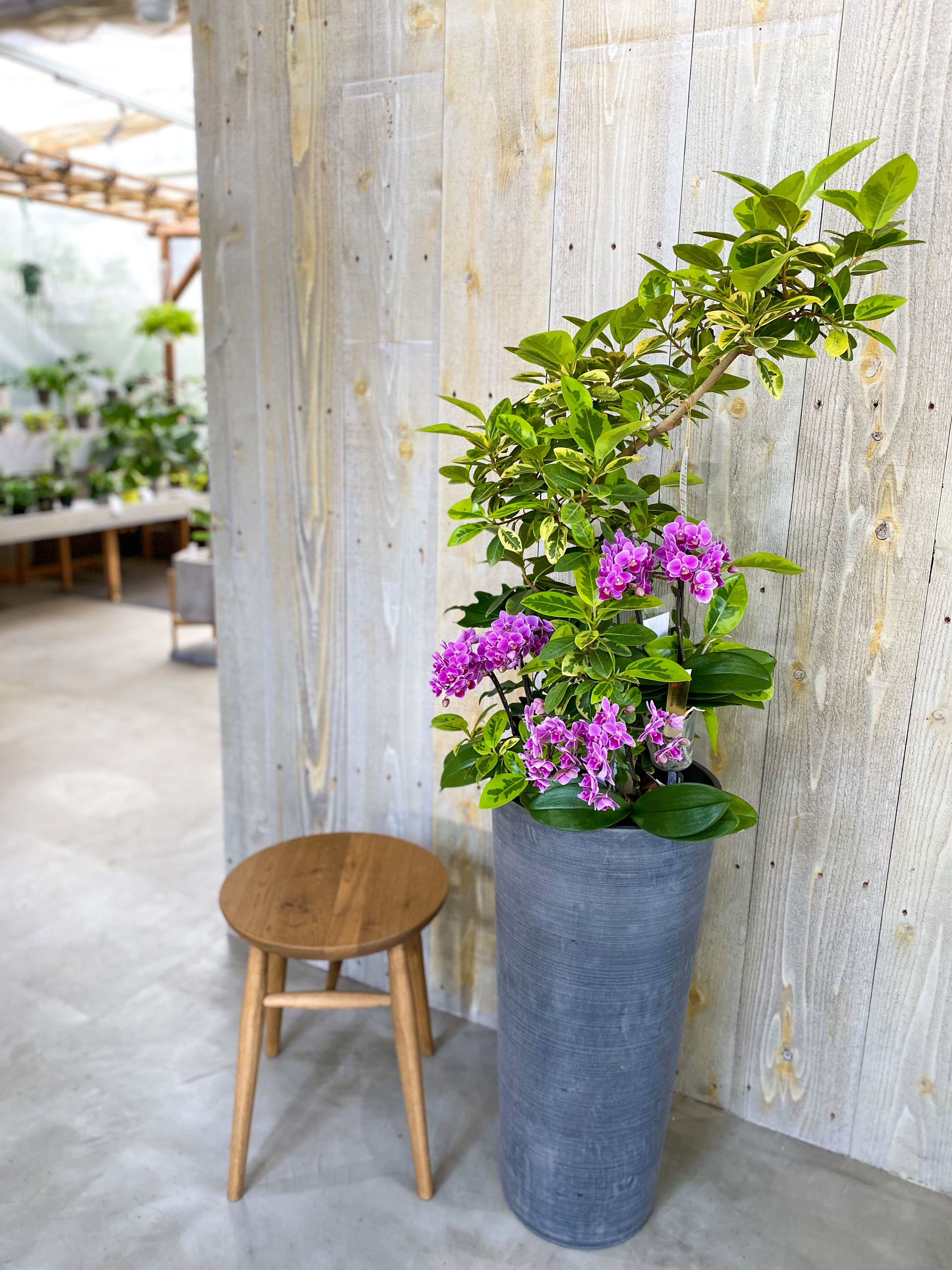 アレンジメント