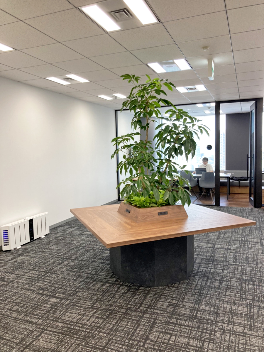 癒しのシンボルツリーがあるオフィス　～豊かな緑で快適なオフィス空間を～
